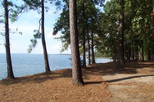 View of Lake Livingston from campsite