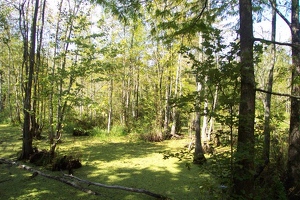 Along the bike trail