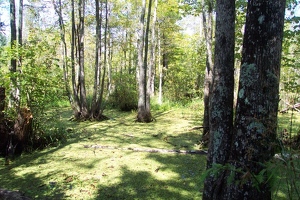 Along the bike trail