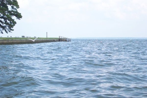 Lake Livingston near Wolf Creek Marina