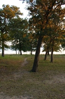 Campsite on the lake