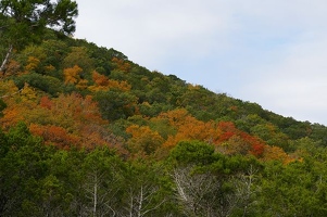 Colorful hillside