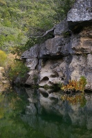 Pond at start of West trail