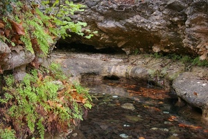 Spring along West trail