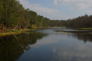 Lake in Bastrop State Park