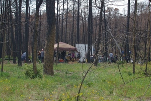 Movie set in woods