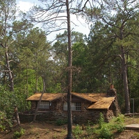 Cabin area