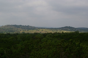 View from edge of park