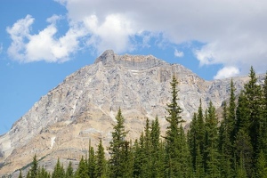 View from Icefields Parkway