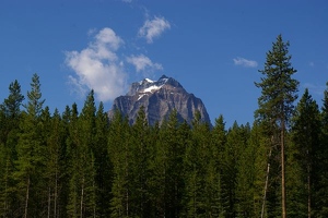 Scenic view