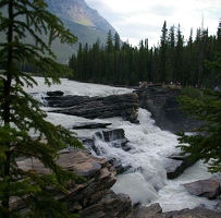 Athabasca falls