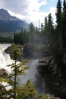 Athabasca falls