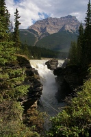 Athabasca falls