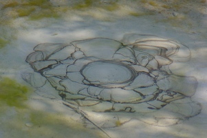 Bubbling springs