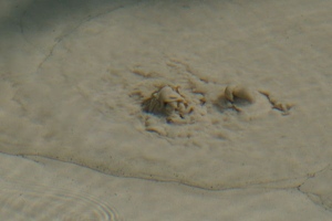 Bubbling springs