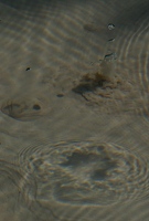 Bubbling springs