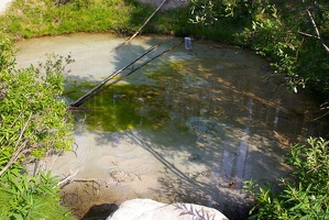 Bubbling springs