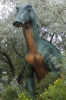 Ducknose