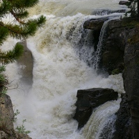 Sunwapta falls