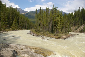 Sunwapta falls