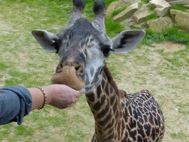 Having a yummy cracker