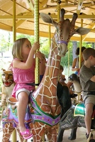 Aboard a tall giraffe