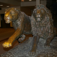 Lion sculpture