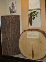 Wood display