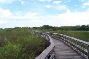 Boardwalk