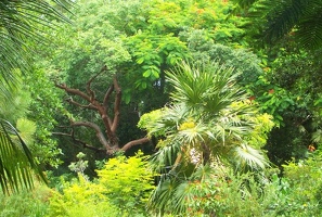 Botanical garden