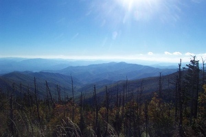 View from Clingman's Dome