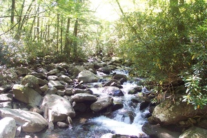 Stream on Porters Creek Trail