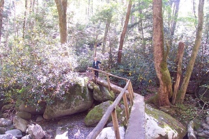 Kay on bridge