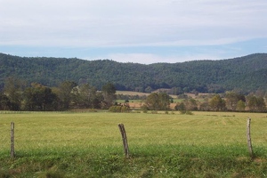 Meadow in Cades Cove