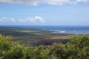 Overlook from Waimea Canyon Drive