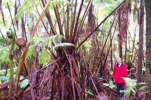 Kay with fern trees