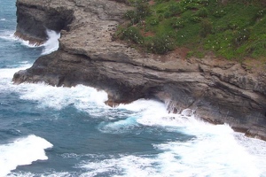 Birds with ocean