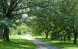 Arboretum