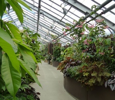 Greenhouse