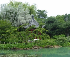 Chinese garden