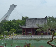 Chinese garden, Olympic park tower in background