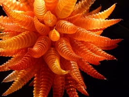 Orange Hornet Chandelier