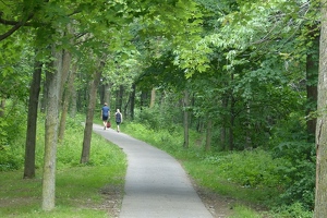 Trail through woods