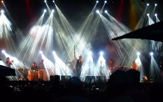 The Cat Empire