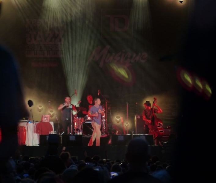 The Cat Empire