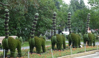 All in a row, leaving