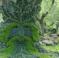 Spirits of the Wood - The Green Man