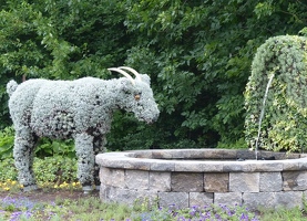 The Man Who Planted Trees, detail