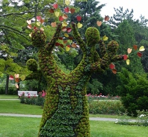 The Heart Tree