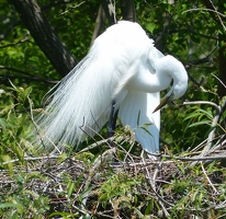 Pinckney Island National Wildlife Refuge